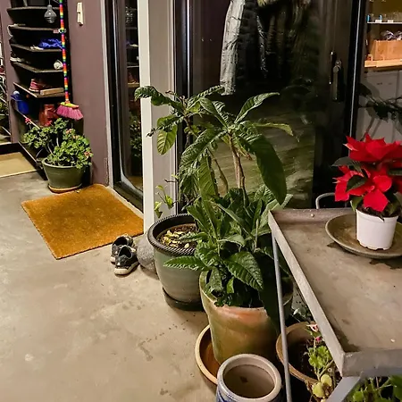 Дом отдыха Unique With War Bunker In *