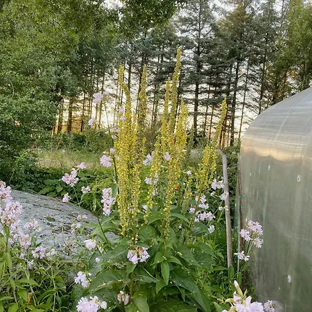 Unique With War Bunker In Дом отдыха