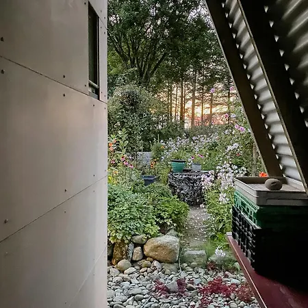 Unique With War Bunker In Дом отдыха *