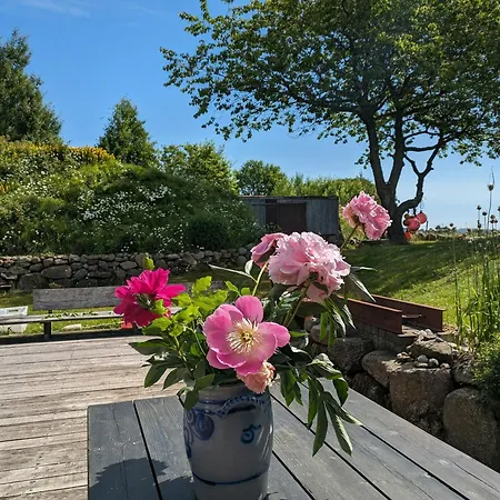 Unique With War Bunker In *