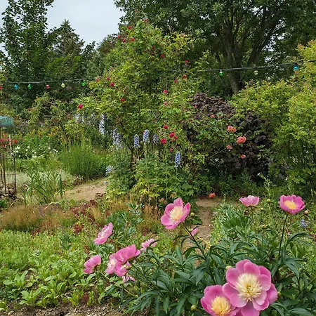 Unique With War Bunker In