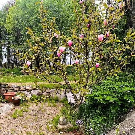 Unique With War Bunker In * Vanse